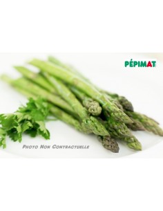 Asperge Dariana 2
