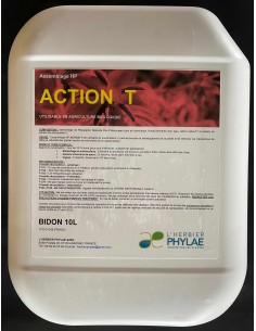 Action T 2