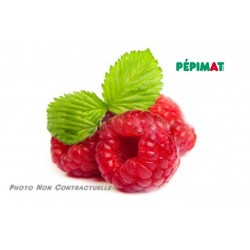 Framboisier Héritage 2