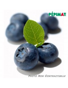 Feutre alimentaire - Bleu de Myrtille - O'SugarArt