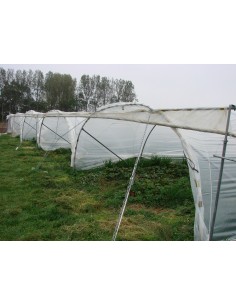 Abritunnel type " fraisier " - Pepimat 2