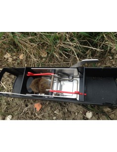 TOPSNAP - Andermatt 2