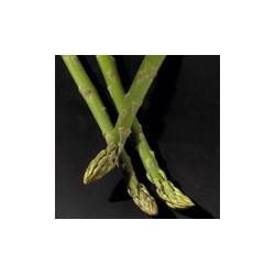 Asperge Darlise 2