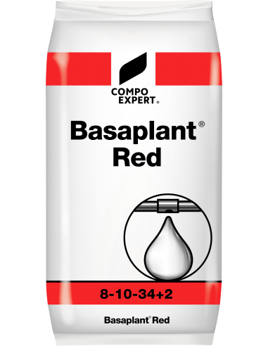 Engrais Soluble fraises - Basaplant Red
