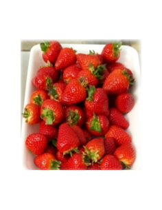 Fraisier Duchesse 2