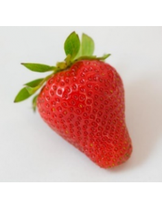 Fraisier Diablesse 2