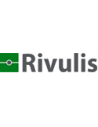 Rivulis