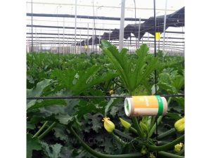 Aphiscout 250 / Flacons de 90 ml