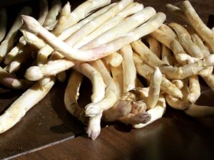 Asperge Cygnus