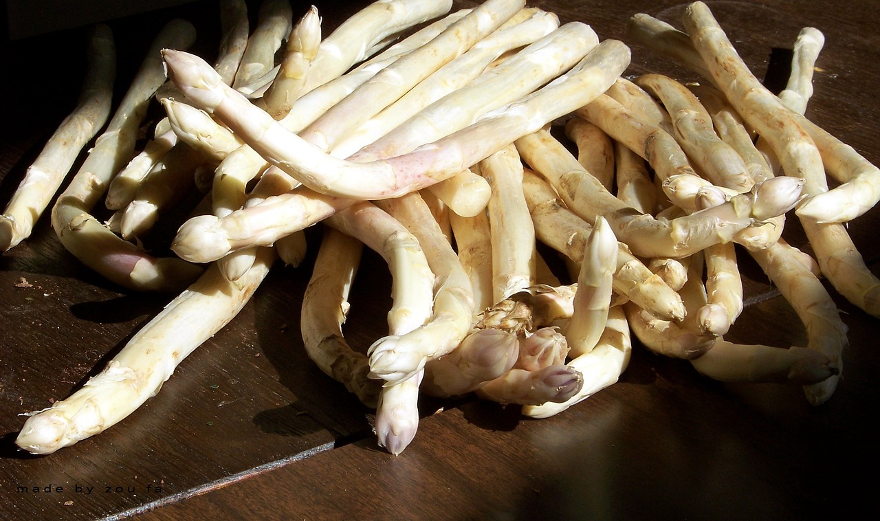 Asperge Cygnus