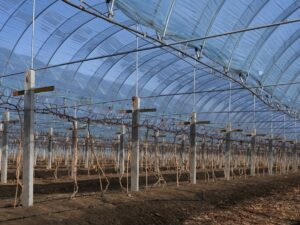 Tuyau flexible de gonflage