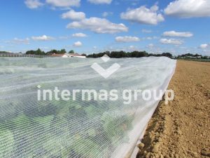 Filet thermique et anti-insecte TOPCLIMAT