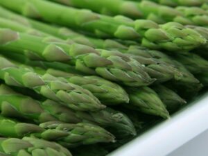 Asperge Herkolim