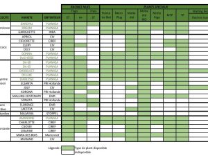 Tableau de correspondance variétés et types de plants