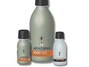 Aphidius colemani-Bioplanet