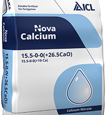Nova Calcium ICL