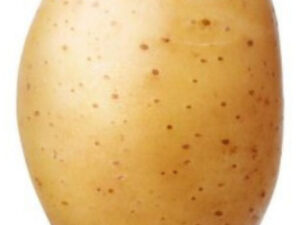 Pomme de terre Twinner