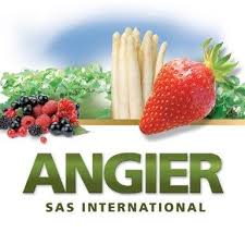 angier