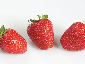 Fraisier Allegro