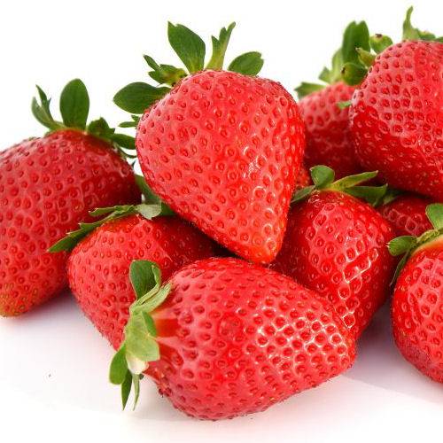 fraisier-favori