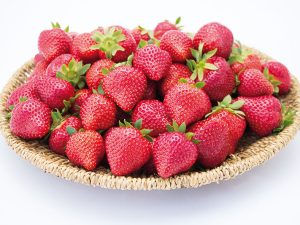 Fraisier Flair