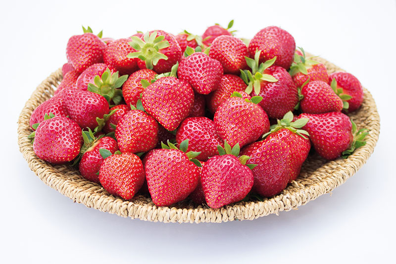fraisier-flair