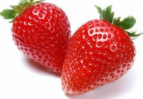 fraisier-harmony