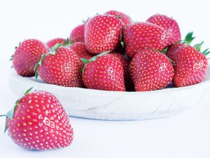 Fraisier Magnus