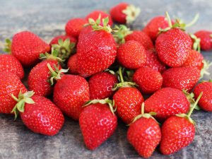 Fraisier Mariguette